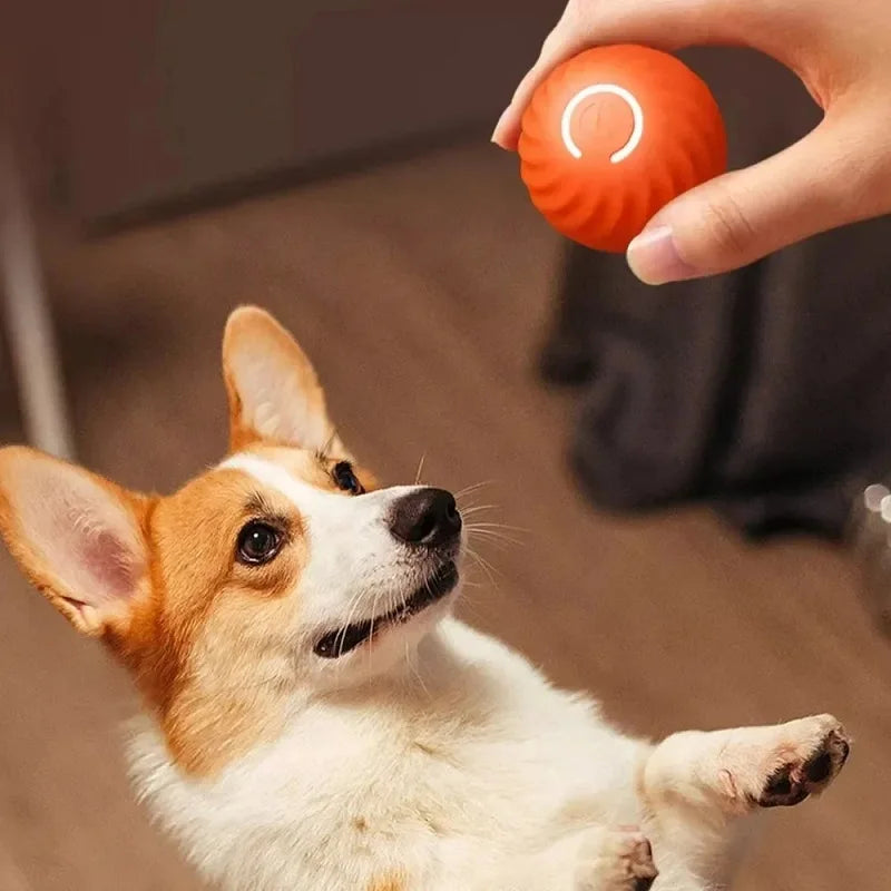 Bola de Brinquedo Automática para Cachorro – Brincadeiras Inesquecíveis, Energia Renovada!